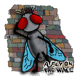 A Fly On The Wall tall logo
