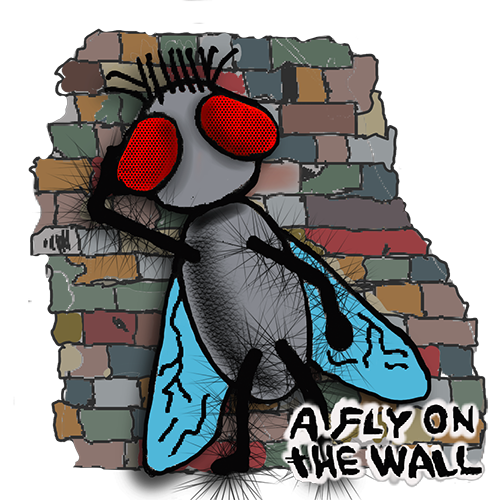 A Fly On The Wall tall logo